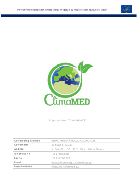 CMM Interactive Guide deliverable PDF thumbnail