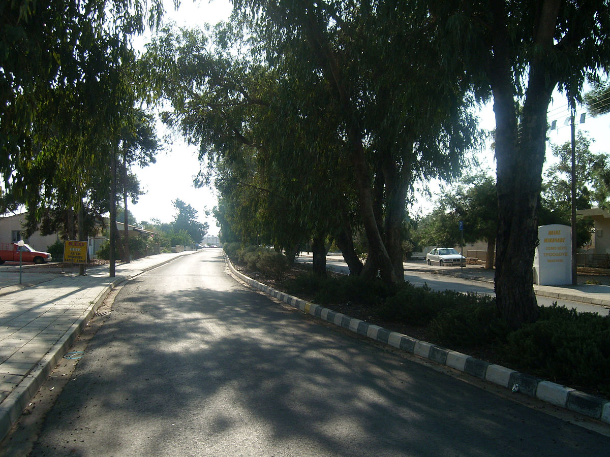 public area with forest trees