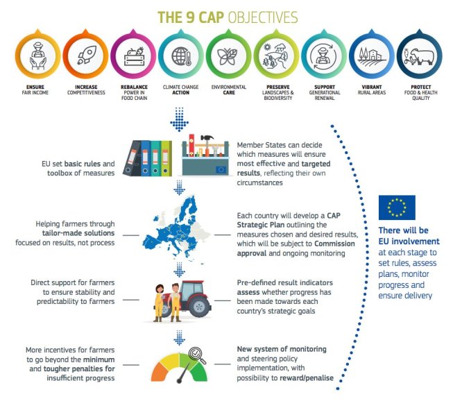 nine targets CAP post 2020