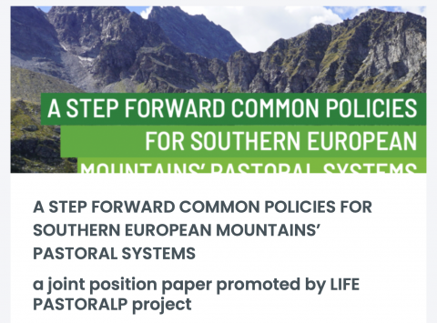 PastroAlp, Joint Position Paper, Mountain's pastoral system