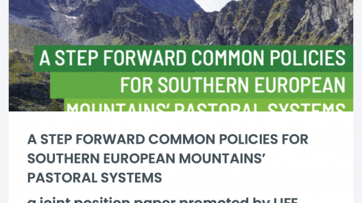 PastroAlp, Joint Position Paper, Mountain's pastoral system